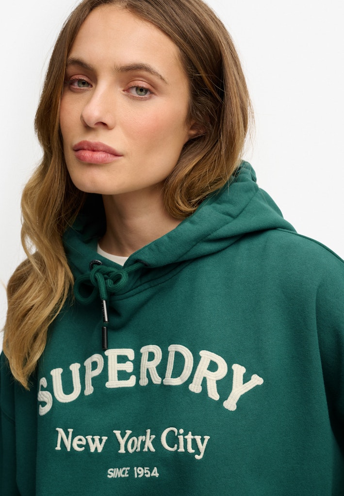 Sudadera Luxe Casual Bordada Corte Relajado [fc:image_id:68f69f7938b805ec4e1a32a4] [fc:hash:c08e24db8e9c45f053ea0d022244d8a3d0fea45a]